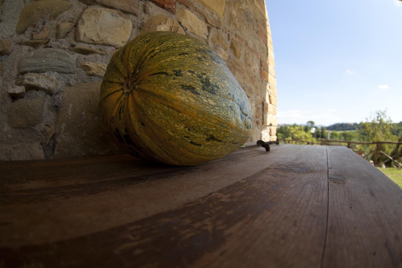 Agriturismo San Fedele Perugia Zewnętrze zdjęcie